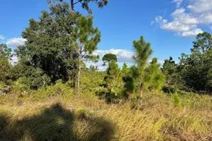 711 Da Vinci Ave S, Lehigh Acres, FL 33974 - Photo 1