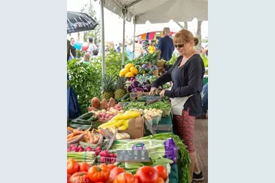 16000 Grassland Ln #3128, Punta Gorda, FL 33982 - Photo 50