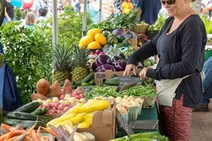 16000 Grassland Ln, Punta Gorda, FL 33982 - Photo 50