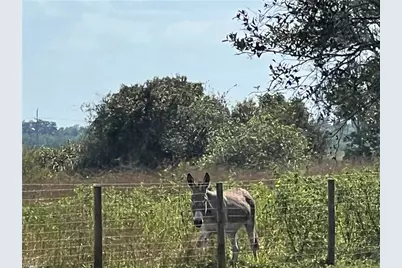 1665 Pollywog Crossover Rd, Labelle, FL 33935 - Photo 4