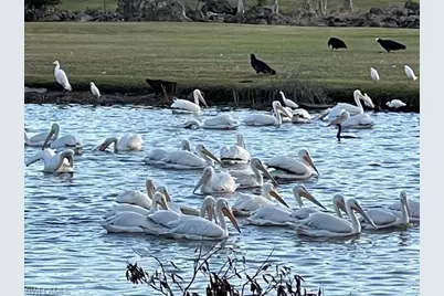 16454 Timberlakes Dr #102, Fort Myers, FL 33908 - Photo 48