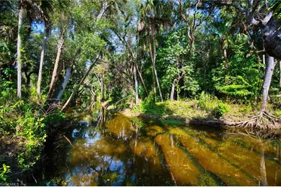 14221 River Rd, Fort Myers, FL 33905 - Photo 2