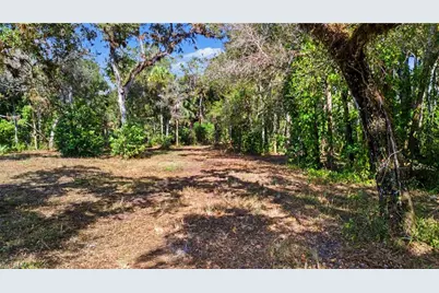 14221 River Rd, Fort Myers, FL 33905 - Photo 8