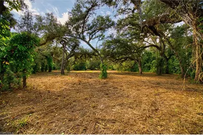 14221 River Rd, Fort Myers, FL 33905 - Photo 4