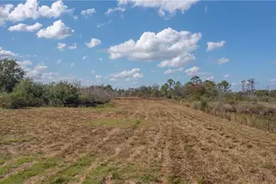 64 Clarice Ct, Venus, FL 33960 - Photo 24