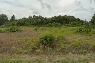 1246 Hillburn St E, Lehigh Acres, FL 33974 - Photo 1