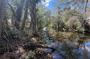 18670 Telegraph Creek Ln, Alva, FL 33920 - Photo 36