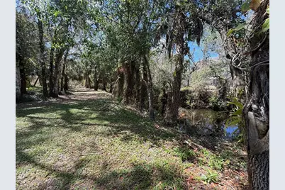 18670 Telegraph Creek Ln, Alva, FL 33920 - Photo 44