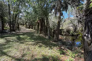 18670 Telegraph Creek Ln, Alva, FL 33920 - Photo 44