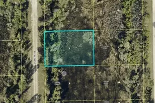 851 Burnett Ave, Lehigh Acres, FL 33974 - Photo 1