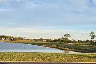 43314 Water Bird Wy, Punta Gorda, FL 33982 - Photo 36