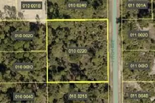 1223 Fitch Ave, Lehigh Acres, FL 33972 - Photo 1