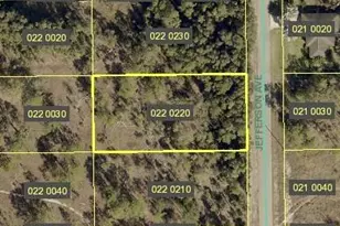 1319 Jefferson Ave, Lehigh Acres, FL 33972 - Photo 1