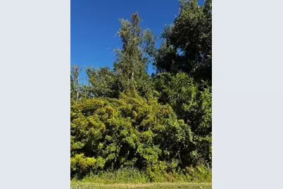 5546 Henley St, Bokeelia, FL 33922 - Photo 4