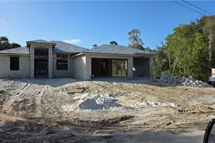 728 La Plata Ave, Lehigh Acres, FL 33974 - Photo 2