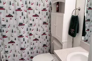 4602 Beth Ave S, Lehigh Acres, FL 33976 - Photo 10