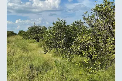 6876 5th Rd, Labelle, FL 33935 - Photo 4