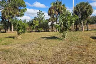 668 Montura Ave, Clewiston, FL 33440 - Photo 6