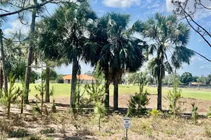 9317 Aegean Cir, Lehigh Acres, FL 33936 - Photo 8