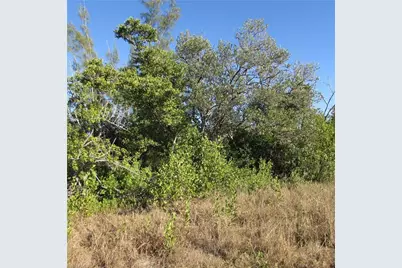 Ficus Tree, Bokeelia, FL 33922 - Photo 8