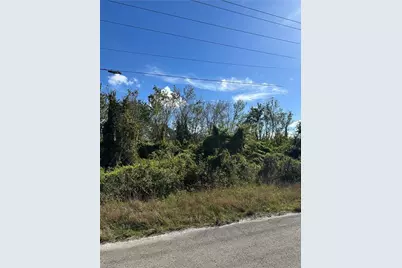 943 Joponica Ave S, Lehigh Acres, FL 33974 - Photo 2