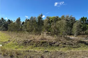 920 Panda Dr, Lehigh Acres, FL 33974 - Photo 1