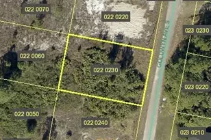 722 Goldwyn Ave S, Lehigh Acres, FL 33974 - Photo 1