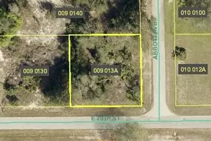 4307 20th St E, Alva, FL 33920 - Photo 1