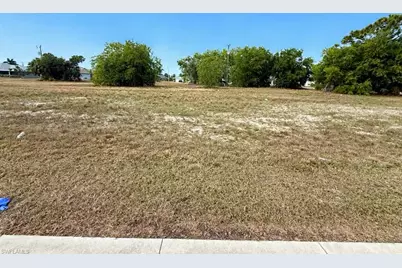 806 Skyline Blvd, Cape Coral, FL 33991 - Photo 2