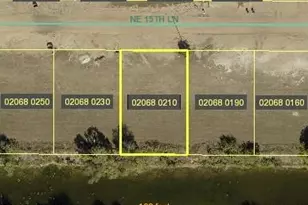 1116 NE 15th Ln, Cape Coral, FL 33909 - Photo 1