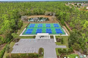 20684 Plumwood Loop, North Fort Myers, FL 33917 - Photo 4