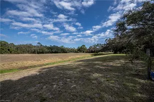 4001 E Sunflower Cir, Labelle, FL 33935 - Photo 42