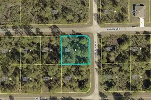 1026 Camden St E, Lehigh Acres, FL 33974 - Photo 1