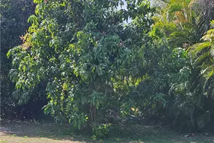 713 Palmetto Ave, Lehigh Acres, FL 33972 - Photo 38