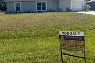 1020 Bucknell Ln, Labelle, FL 33935 - Photo 12