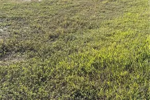 1240 NW 33rd Ave, Cape Coral, FL 33993 - Photo 2