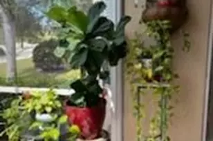 1903 Morning Sun Ln, Naples, FL 34119 - Photo 22