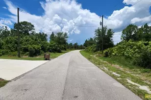 1133 Barfield St E, Lehigh Acres, FL 33974 - Photo 4