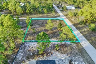 1118 Orient St E, Lehigh Acres, FL 33974 - Photo 4
