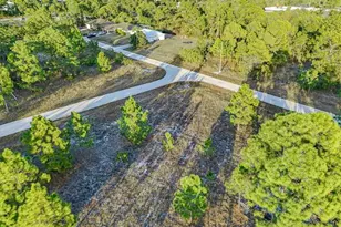 1118 Orient St E, Lehigh Acres, FL 33974 - Photo 18