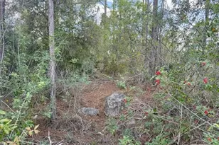 1422 North Ave, Lehigh Acres, FL 33972 - Photo 16