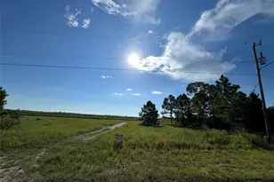 1053 Naples Ave S, Lehigh Acres, FL 33974 - Photo 2