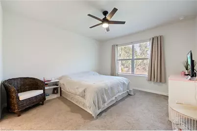 20587 Plumwood Loop, North Fort Myers, FL 33917 - Photo 16