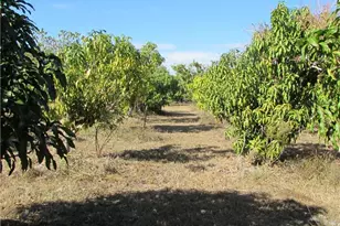 8390 Stringfellow Rd, Saint James City, FL 33956 - Photo 14