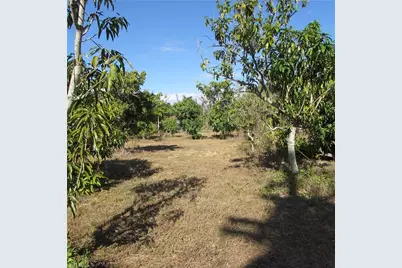 8390 Stringfellow Rd, Saint James City, FL 33956 - Photo 10