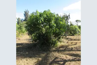 8390 Stringfellow Rd, Saint James City, FL 33956 - Photo 8