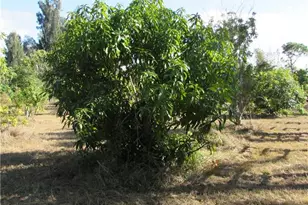 8390 Stringfellow Rd, Saint James City, FL 33956 - Photo 8