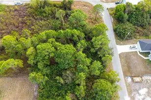 373 Butler Ave S, Lehigh Acres, FL 33974 - Photo 8