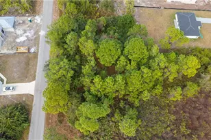 373 Butler Ave S, Lehigh Acres, FL 33974 - Photo 4