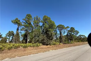 3209 Floyd Ave S, Lehigh Acres, FL 33976 - Photo 4